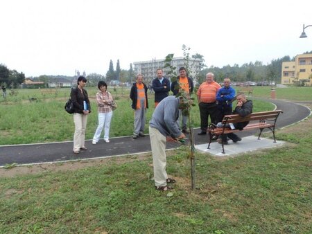 Delavnica - Park in mesto 1